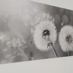 Apartmán Nonna Milde Assisi