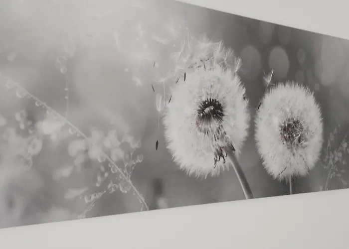 דירה Nonna Milde אסיסי